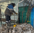 В Омской области более 14 тысяч домов подключены к газу в рамках программы догазификации - Gazeta-Avangard.Ru