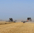 Аграрии Омской области собрали второй миллион тонн зерна - Gazeta-Avangard.Ru